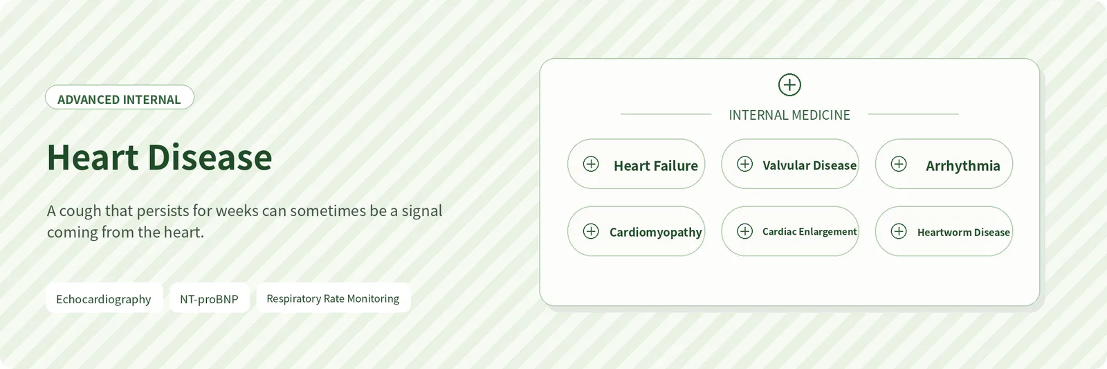 Heart Disease