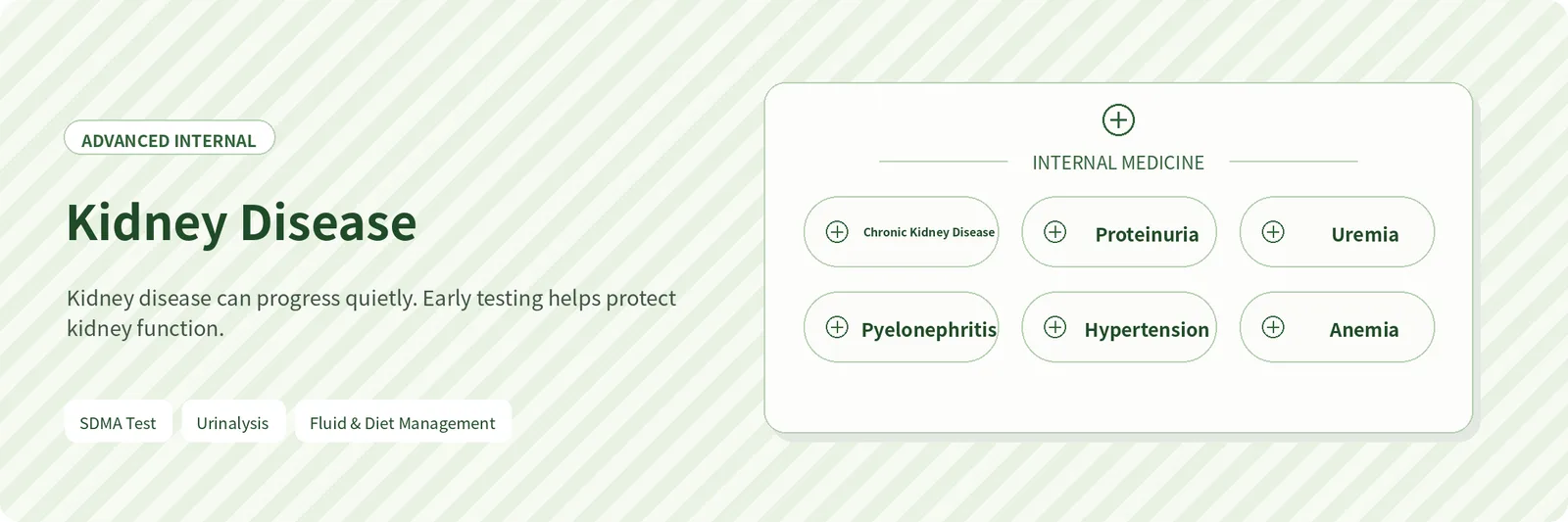 Kidney Disease