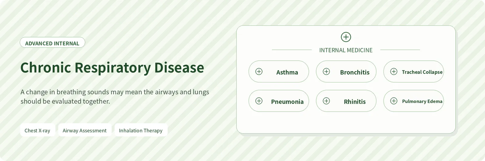 Chronic Respiratory Disease