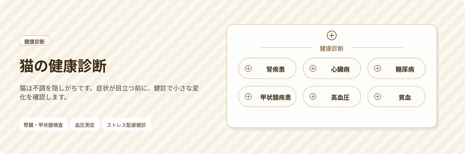 猫の健康診断