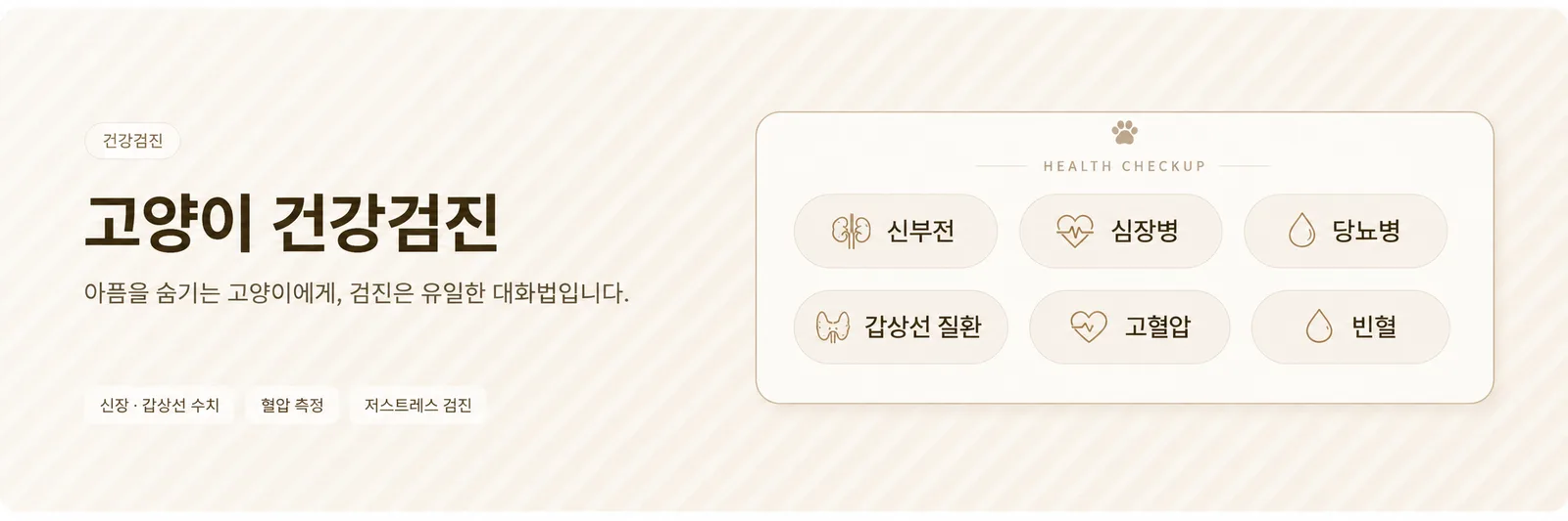 고양이 건강검진