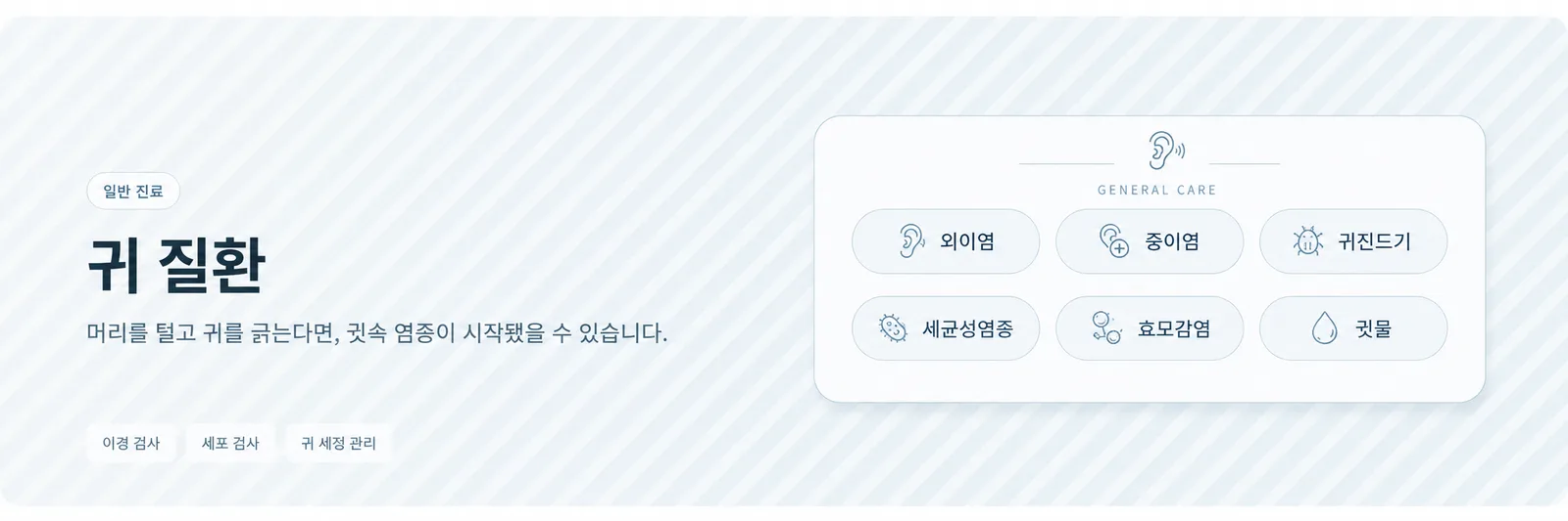 귀 질환
