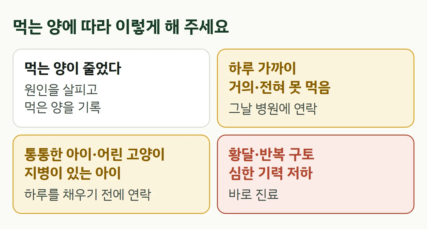 먹는 양에 따라 할 일: 먹는 양 감소는 기록, 하루(24시간) 가까이 거의 또는 전혀 먹지 못하면 그날 병원 연락, 어린 고양이·지병은 더 일찍, 황달·심한 증상은 바로 진료