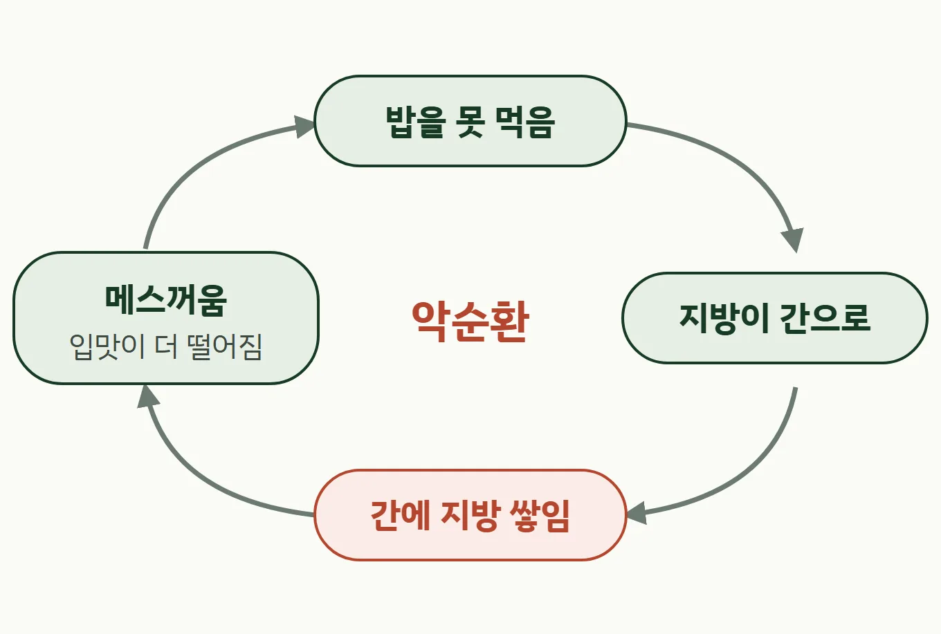 밥을 못 먹음, 지방이 간으로, 간에 지방 쌓임, 메스꺼움으로 입맛이 더 떨어지는 악순환
